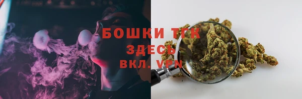 сатива Абдулино