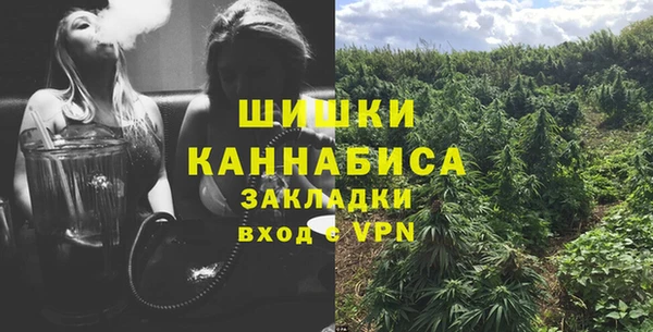 сатива Абдулино