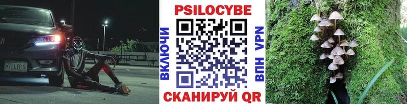 Псилоцибиновые грибы Magic Shrooms ссылка на мегу маркетплейс Альметьевск